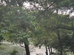 -原乡芦茨咖啡