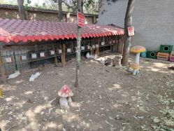 -上美四季动物农场
