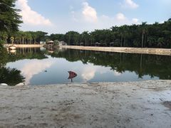 -佛山祈福仙湖酒店