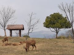 -良渚古城遗址公园
