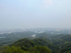 -大屏嶂森林公园