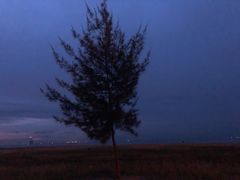 景点-白沙门生态公园