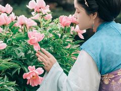 -扬州大运河文化旅游度假区·盆景园