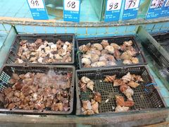 -黄埔华苑酒家(黄埔店)