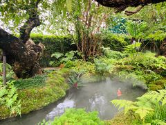 -Chom Cafe and Restaurant