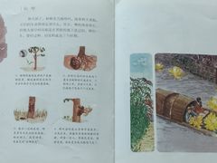 -上海市虹口区图书馆(曲阳分馆)