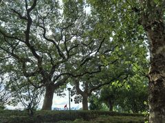 -东钱湖旅游度假区