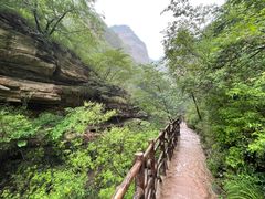 -邢台大峡谷