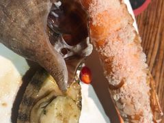 -海味当家·蒸锅海鲜(星海公园店)
