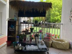 -苏州市姑苏区宝仁幼儿园