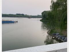 -大兴滨河森林公园