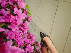 -JIMMY CHOO(德基广场店)
