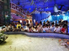 -烟台海昌鲸鲨海洋公园