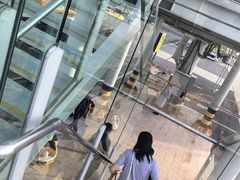 -厦门高崎国际机场-T3航站楼