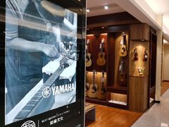 -知音艺术教育培训·钢琴培训·音乐培训(河西金鹰世界校区)