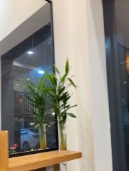 -章光101防脱养发荟