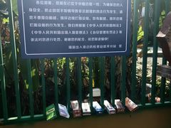 -一寨两国风景区