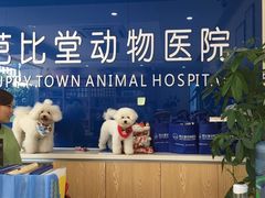 -芭比堂动物医院·24小时·眼科中心(深圳中心)