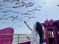 -海驴岛(荣成市)