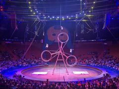 -俄罗斯国家大马戏团