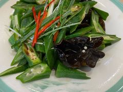 凉拌秋葵-北方饺子王·海肠捞饭·海鲜锅(山大店)