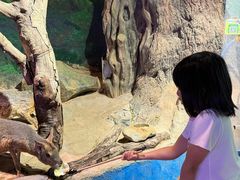 -正佳雨林生态植物园