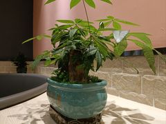 -嬷孙家潮汕牛肉火锅(北京路天河城店)