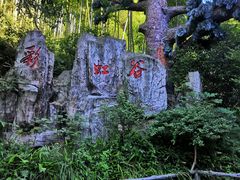 -山沟沟景区