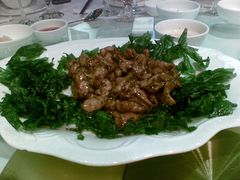 -金燕岛潮州酒楼