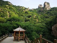 -大岭沟猕猴桃谷风景区