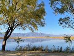 -野鸭湖国家湿地公园