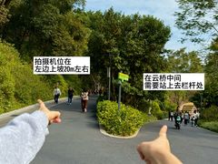 -云溪植物园