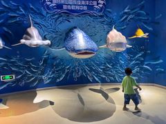 -烟台海昌鲸鲨海洋公园
