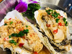 美国泰勒生蚝-必点海鲜·鲅鱼水饺(鞍山西道店)