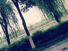 -后襄河公园