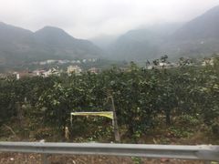 -语堂故居