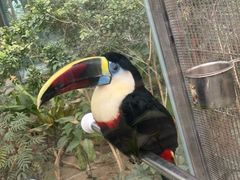 -南宫五洲植物乐园