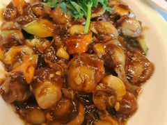 -宝轩渔府·老字号海鲜·正宗津菜(水上店)