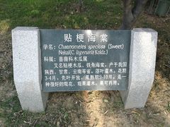 -石家庄市植物园