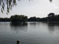 -后海公园