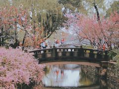 -无锡蠡湖国家湿地公园-蠡园