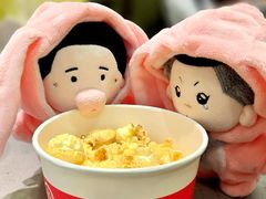 -海底捞火锅(天通苑华联店)