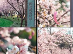 -静安雕塑公园