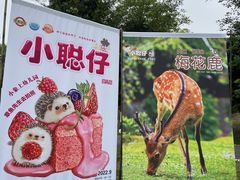 -广西壮族自治区药用植物园