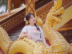 -西双版纳傣族园