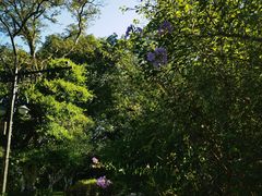 -丰都鬼城名山景区