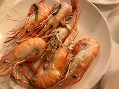 -The COOK·厨餐厅·自助餐(浦东嘉里大酒店)