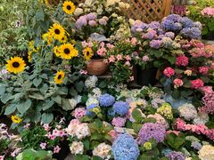-双季花艺园艺市场(浦东店)