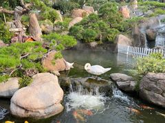 -罗红摄影艺术馆