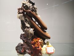 -中华世纪坛